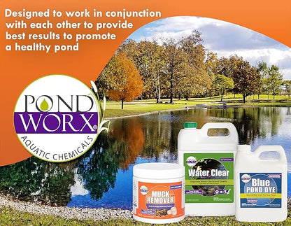Pond Worx Pond Bacteria - Concentrated & Formulated for Large Ponds, Water Features - Safe for Koi - 32 Ounces & Treats up to a Quarter Acre Pond