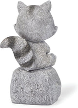 Roman 8” Raccoon Sitting on Rock Garden Statue – Outdoor Yard Decor, Animal Figurine for Garden, Lawn, or Patio