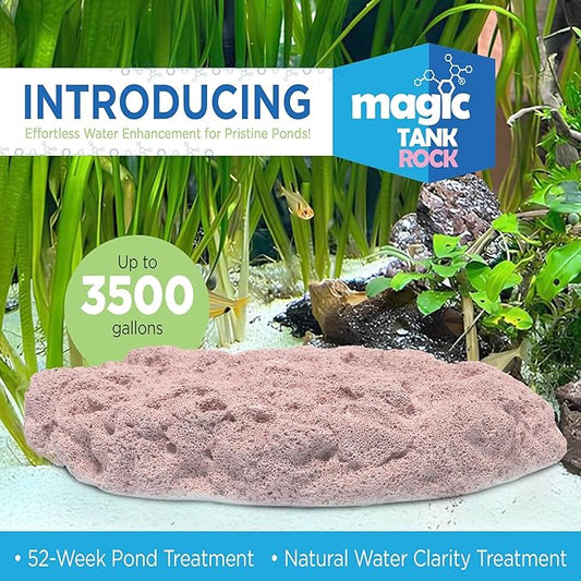 Fish Tank Rocks for Enhancing Water Clarity with Your Regular Cleaning Routine, Fish Friendly Aquarium Rocks, All Natural Aquarium Decor, Small, Up to 750 Gallons