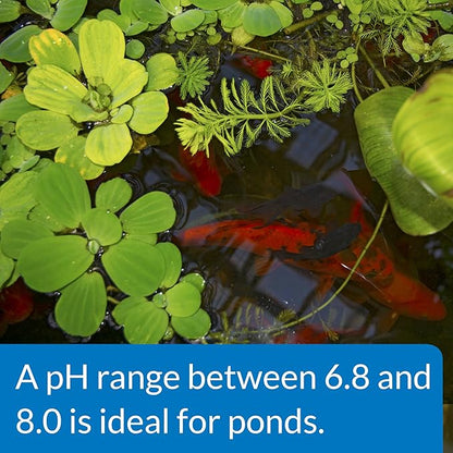 API POND pH UP Pond Water pH Raising Solution 16-Ounce Bottle