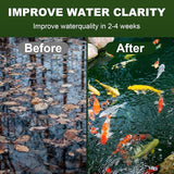 Muck Reducer - 1LB Natural Muck Sludge Solution Tablets, Optimize Up to 6,000 Sq Ft, Pets and Swimming, Odor Control for Ponds & Lakes - Safe for Fish