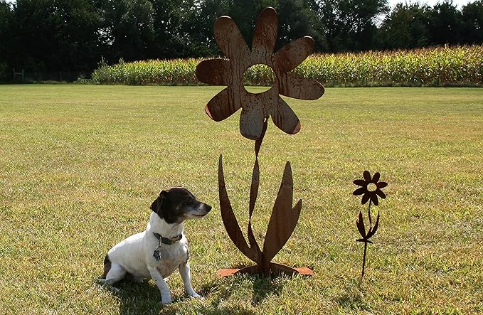Metal Rustic and Colorful Flower Stakes Ranging from 9.5 to 36 Inches Tall (Twisted Daisy on Flat Base 36" Tall, Naturally Rusted)