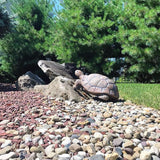 Sunnydaze Tanya the Garden Turtle Statue - Turtle Garden Decor for Yard, Lawn, Patio Décor – 20" x 12" Durable Poly-Concrete - Gift Idea