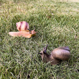 2pcs Snail Figurine Toy Mini Animal Figures for Fairy Garden, Mushrooms, Micro Landscape Decor(Mixed Color)