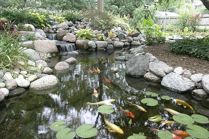 Aquascape Cold Water Beneficial Bacteria for Pond and Water Features 32 oz. / 946ml, 98894