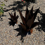 Handmade Rusted Metal Flame Agave Sculpture – Garden Art for Patio or Yard Decor (Large (19"))