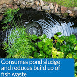 API POND SIMPLY CLEAR Pond Water Clarifier 1-Gallon Bottle