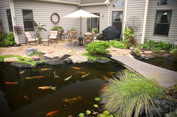 Aquascape Cold Water Beneficial Bacteria for Pond and Water Features 32 oz. / 946ml, 98894