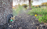 Lulu Decor, 100% Cast Iron Fairy Door with Green Fairy Garden Decor Fairy Garden Accessories 3.75 x 4.75 inches